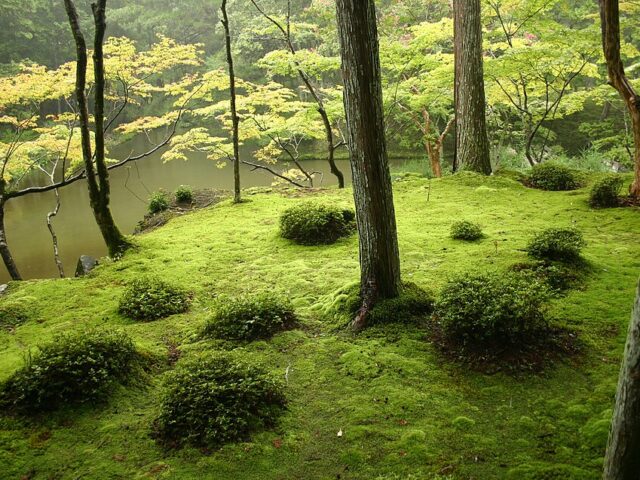Ses Japanaj Ĝardenoj – la ĝardenoj